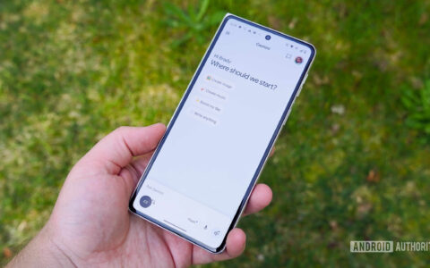 Gemini使用指南：Google may have fixe