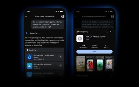 Gemini使用指南：’s new Google Play S