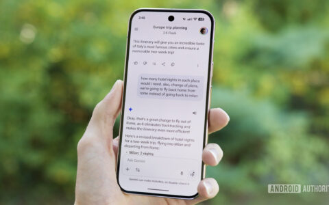 Gemini使用指南：Users say starts for
