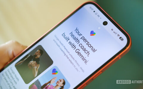 Gemini使用指南：Google AI Pro’s late