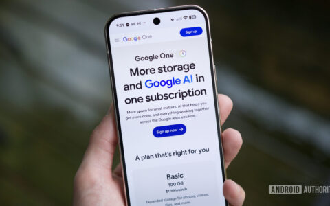 Gemini使用指南：Google wants you to