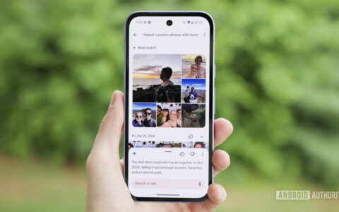 Gemini使用指南：If Google Photos sea