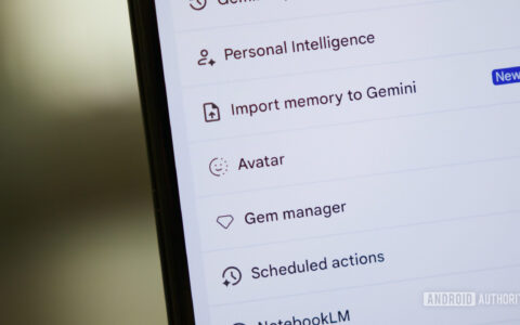 Gemini 头像可能要能分享了，这会把 AI 视频玩法再往前推一步