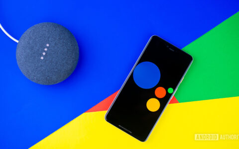 Gemini使用指南：Google finally revea