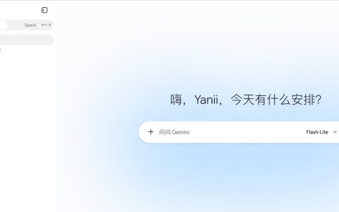Gemini 国内官网镜像站：无需复杂配置，快速打开立即使用