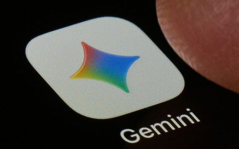 Gemini使用指南：Google’s app surges