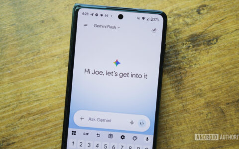 Google Gemini使用指南：Google’s rolling o
