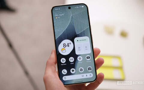 Gemini使用指南：The Pixel 11 series