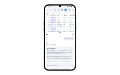 Gemini使用指南：in Google Sheets is