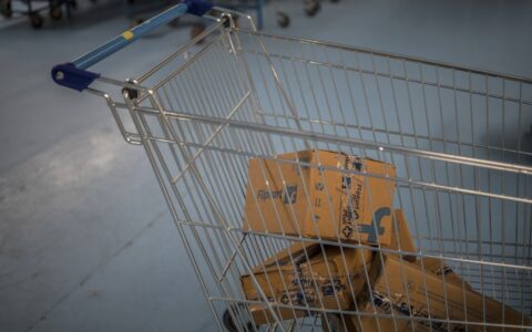 Gemini使用指南：Google tests buying