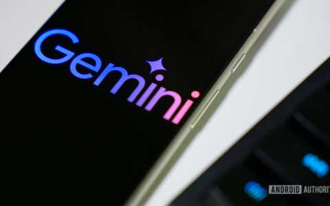 Gemini使用指南：Google’s new feature