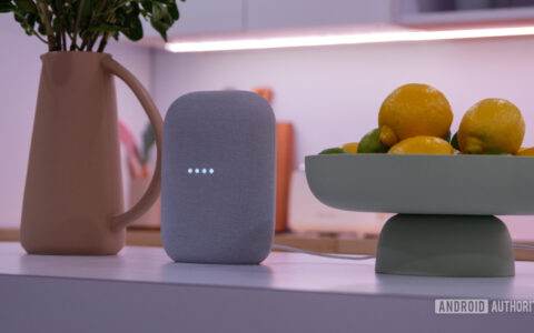 Gemini使用指南：Google Home keeps ge