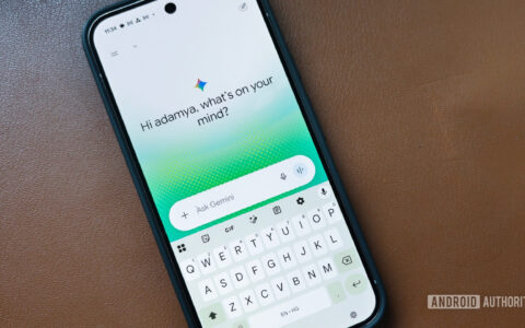 Gemini使用指南：Google removes the a