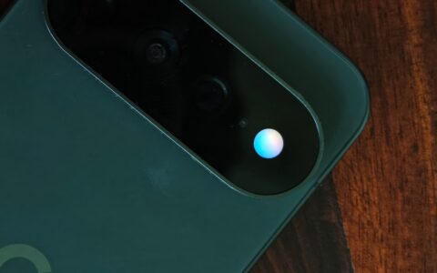 Gemini使用指南：Google tests letting
