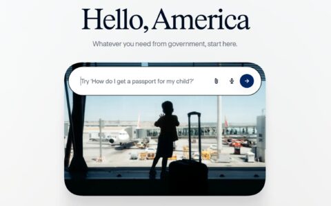 Gemini使用指南：The US government no