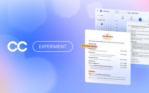 Gemini使用指南：This Google AI exper
