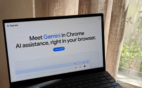 Gemini最新解读：’s new Windows app l