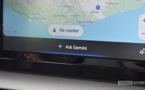 Gemini最新解读：has lost interest in