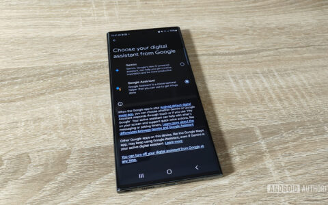 Gemini使用指南：Google has started k
